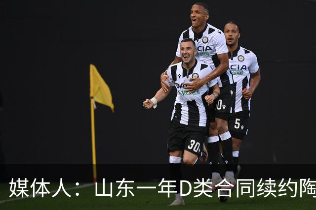 媒体人：山东一年D类合同续约陶汉林 与高诗岩的续约还在谈判中